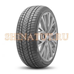 SureGrip Pro Winter