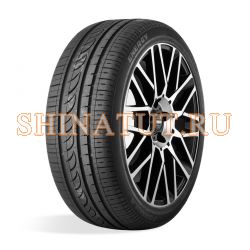 225/60 R17 99H Energy