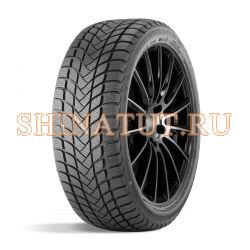 225/55 R16 99H WINTER LANDER